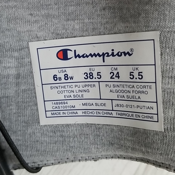 Champion slides - Picture 8 of 8